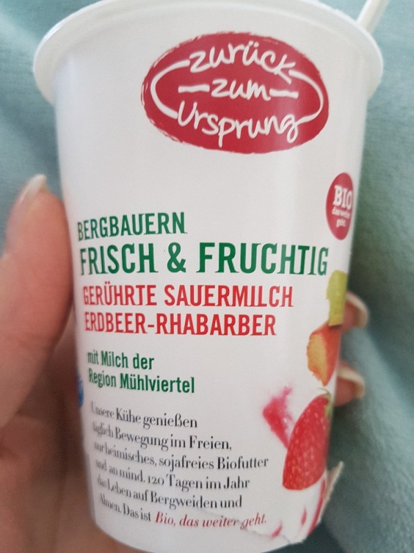 Sauermilch Joghurt, Erdbeer- Rhabarber von KaroSchreyer | Hochgeladen von: KaroSchreyer