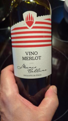 Vino Merlot, halbtrocken von joey6ty4 | Hochgeladen von: joey6ty4