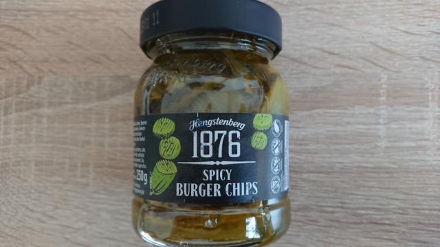 1876 Spicy Burger Chips | Hochgeladen von: Silv3rFlame