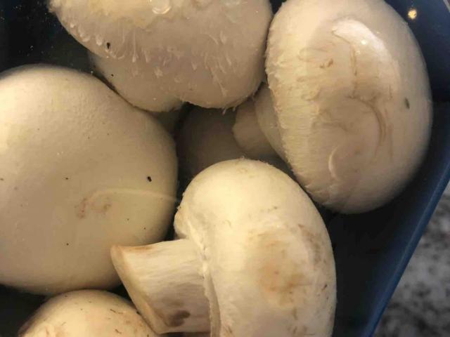 Champignons von kim22st | Hochgeladen von: kim22st