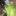 Salatherzen Bicolor, LIDL von TimEimer | Hochgeladen von: TimEimer