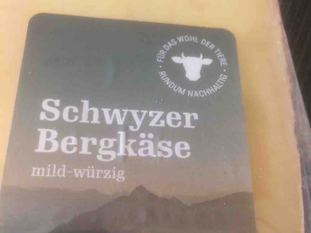Schwyzer Bergkäse - Bergkäse aus wärmebehandelter Milch, 48%F i. | Hochgeladen von: An34ass