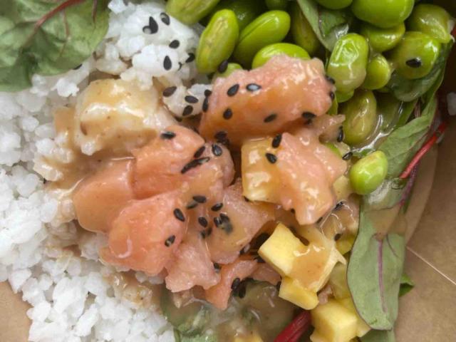 Salmon Poke Rice Bowl von Dani0406 | Hochgeladen von: Dani0406