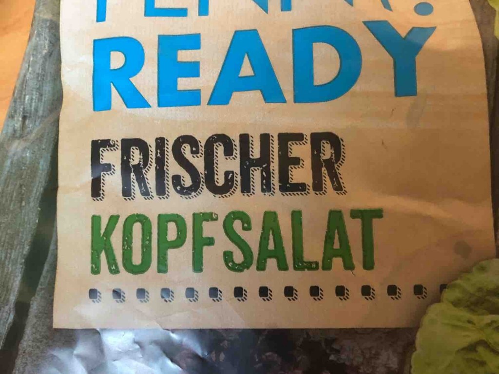 Frischer Kopfsalat von paolo1983 | Hochgeladen von: paolo1983