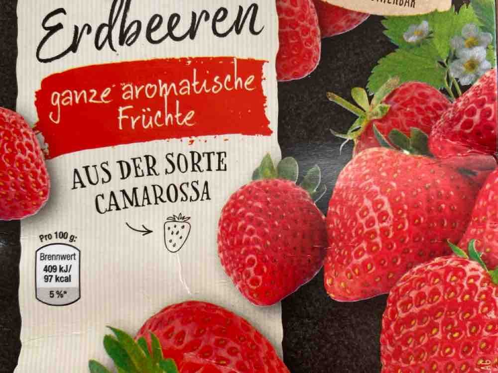 Erdbeeren von MaLech | Hochgeladen von: MaLech