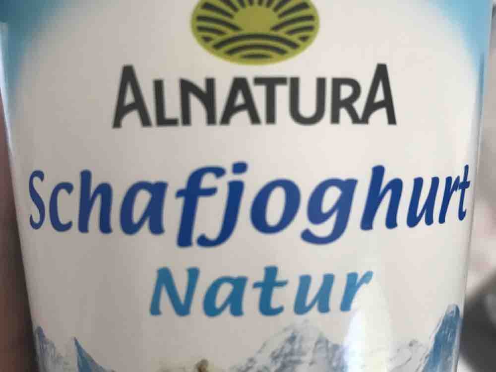Joghurt aus Schafsmilch von Hexesunshine | Hochgeladen von: Hexesunshine