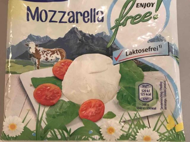 Mozzarella enjoy free, Laktosefrei von gabrielaraudner758 | Hochgeladen von: gabrielaraudner758