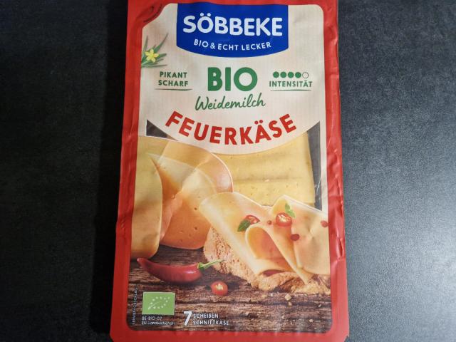 Feuerkäse von Merrique | Hochgeladen von: Merrique