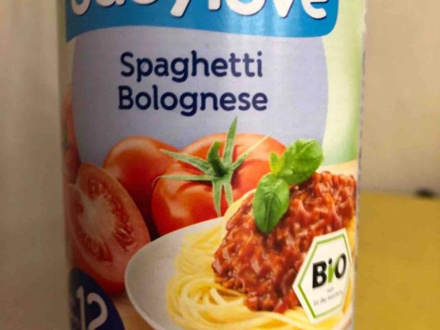 Spaghetti Bolognese  von julystardust | Hochgeladen von: julystardust