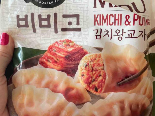 Mandu, kimchi & pork by Bibiannnot | Uploaded by: Bibiannnot