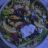 Salat mit Thunfisch und Butterbohnen von McGreen | Hochgeladen von: McGreen