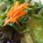 Gemischter Salat mit French Dressing, Tomate Karotte Mais von JamesBlondie | Hochgeladen von: JamesBlondie