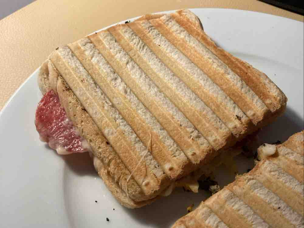 Käse Salamie Sandwich von PhilTron | Hochgeladen von: PhilTron