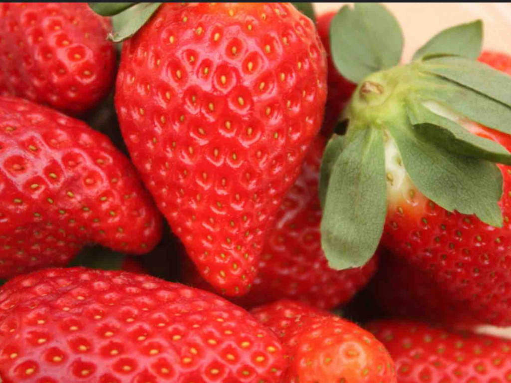 ERDBEEREN von Bachi130576 | Hochgeladen von: Bachi130576 ERDBEEREN von Bachi130576 | Hochgeladen von: Bachi130576