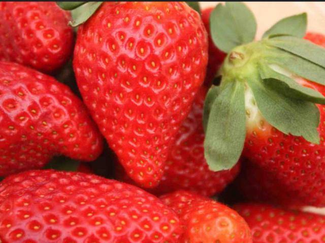 ERDBEEREN von Bachi130576 | Hochgeladen von: Bachi130576 ERDBEEREN von Bachi130576 | Hochgeladen von: Bachi130576