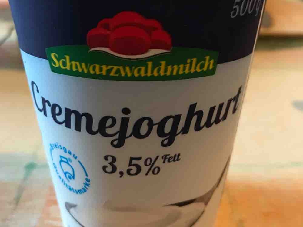 Schwarzwaldmilch Cremejoghurt 3,5 % Fett von Elocin2015 | Hochgeladen von: Elocin2015