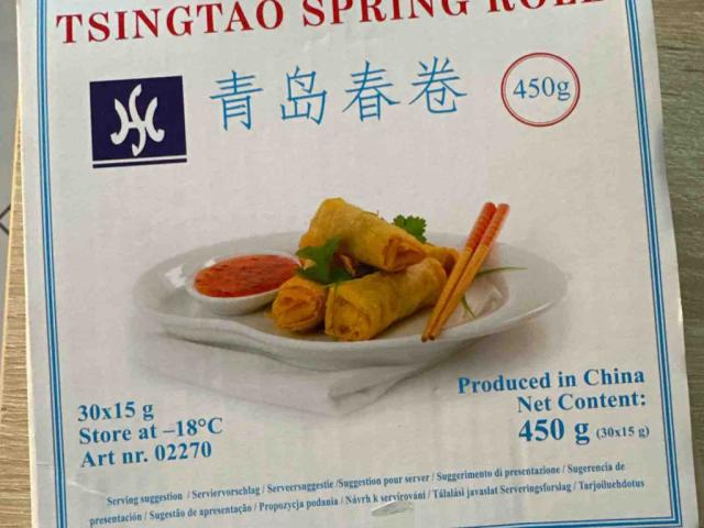 Tsintao Spring Roll von flxullr | Hochgeladen von: flxullr