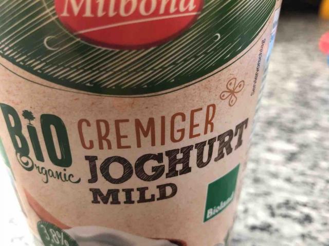 Bio Joghurt 3,8% pur, natur von AliasHusche | Hochgeladen von: AliasHusche