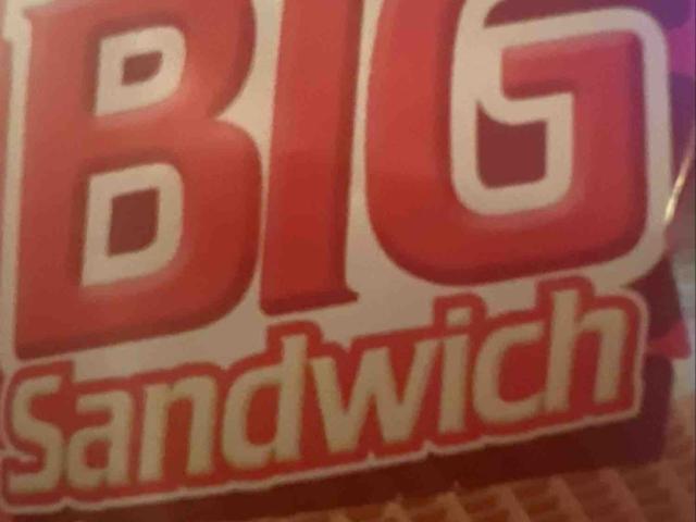 Big Sandwich von maneausW | Hochgeladen von: maneausW