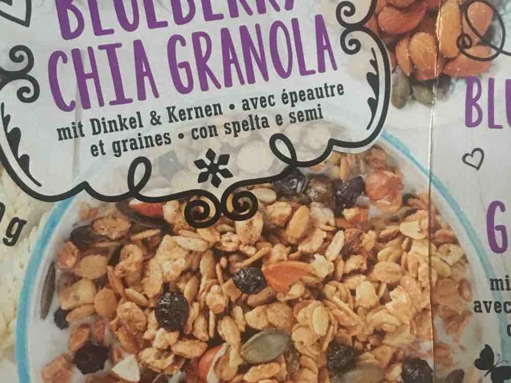Blueberry Chia Granola, mit Dinkel & Kernen von mrclonk | Hochgeladen von: mrclonk