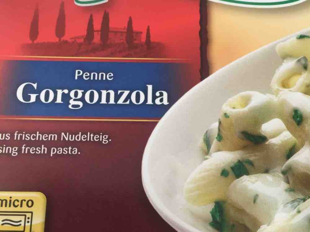 Penne Gorgonzola, aus frischem Nudelteig von carostern2012 | Hochgeladen von: carostern2012
