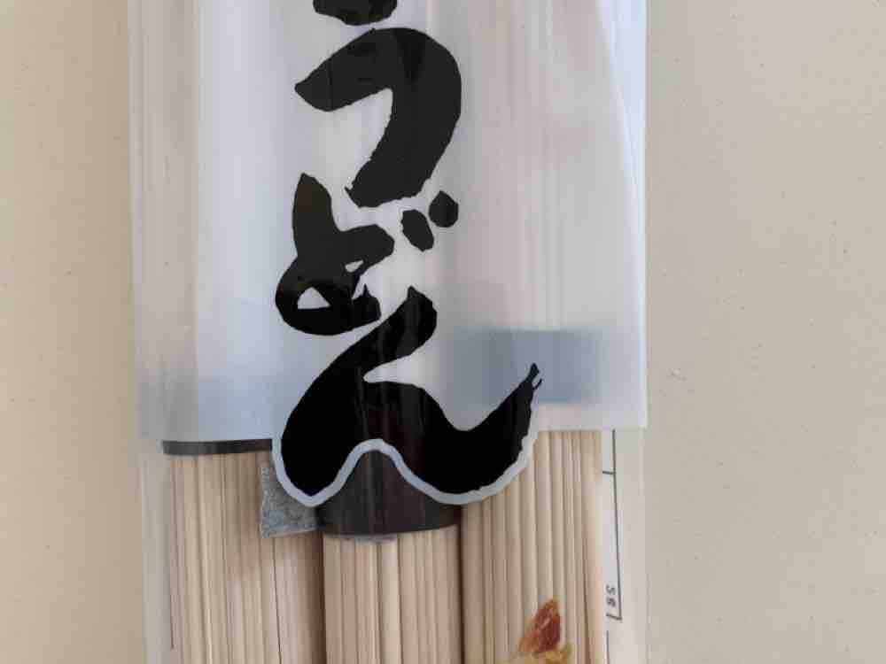 Udon, Japanese Style Udon Noodle von felidamma401 | Hochgeladen von: felidamma401
