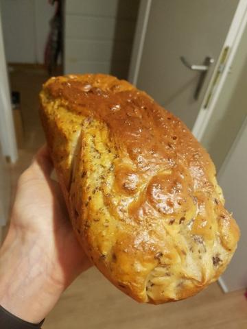 Kürbis Protein Brot, Leinsamen, Chia von Campbell | Hochgeladen von: Campbell