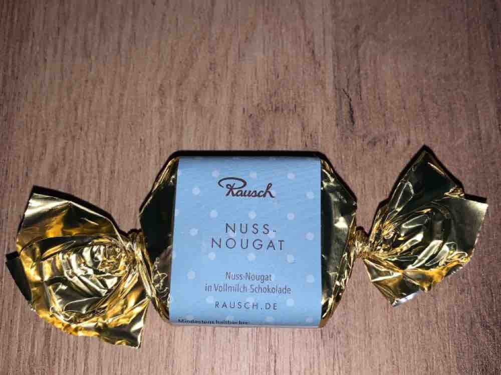 Nuss-Nougat in Vollmilchschokolade von redbike | Hochgeladen von: redbike
