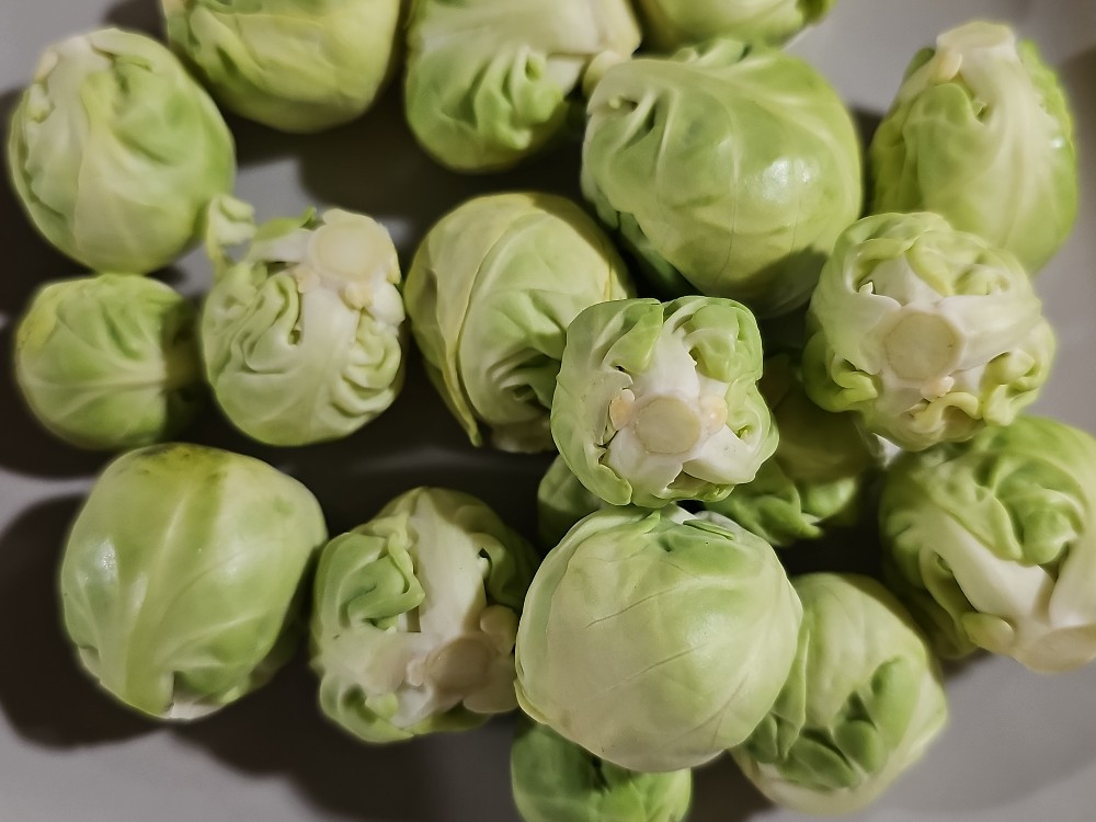 Hochgeladen von: juliswelt473