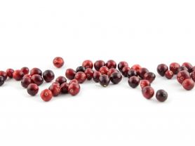 Cranberry, frisch | Hochgeladen von: julifisch