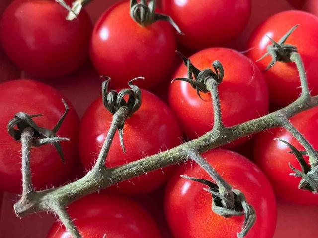 Cherry Dattel Tomate von Diandra | Hochgeladen von: Diandra