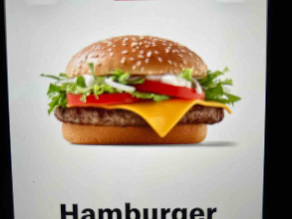 Hamburger Royal TS von domtdn | Hochgeladen von: domtdn