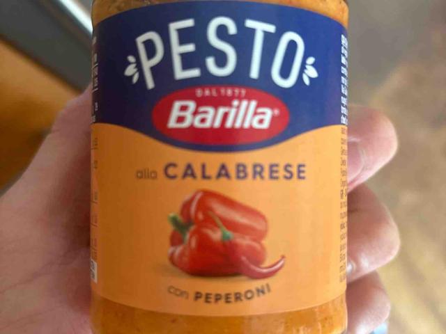 Pesto alla calabrese con peperoni von FinnHSR | Hochgeladen von: FinnHSR