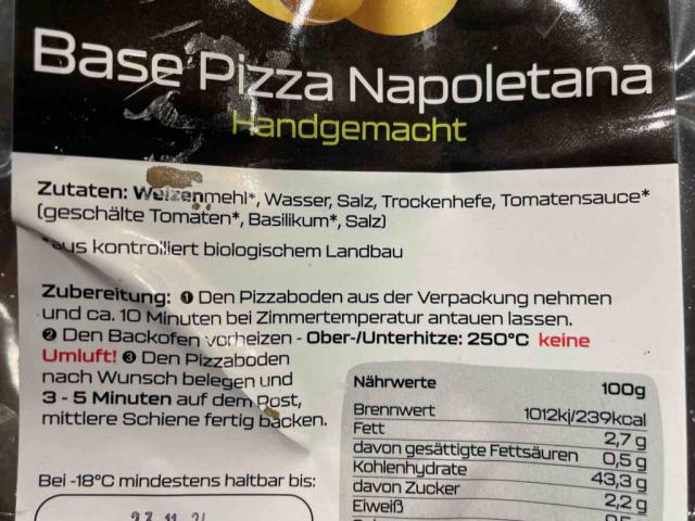 Base Pizza Napolenta von FrauG | Hochgeladen von: FrauG