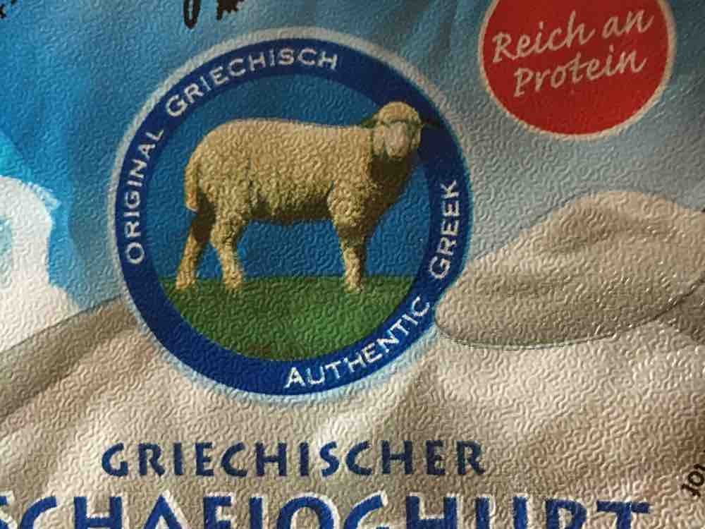Griechischer Schafsjoghurt 6% Fett von antoniadeike553 | Hochgeladen von: antoniadeike553