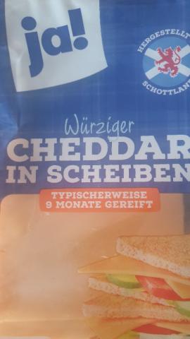 cheddar von NicSausK | Hochgeladen von: NicSausK