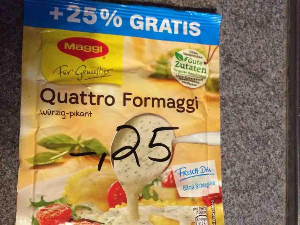 Für Genießer Sauce Quattro Formaggi (Trockenprodukt) von france6 | Hochgeladen von: france69s
