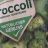 Broccoli, tiefgefroren von lisahelbig | Hochgeladen von: lisahelbig