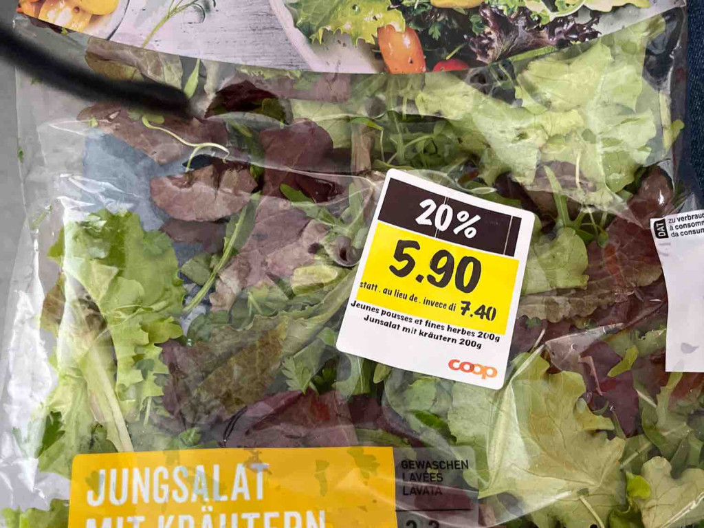 Jungsalat mit Kräutern von Mirjhari | Hochgeladen von: Mirjhari