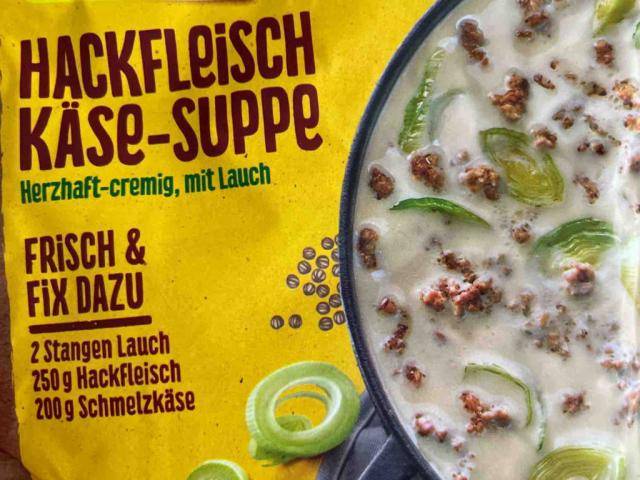 Hackfleisch Käse Suppe, mit natürlichen Zutaten von vivirempel | Hochgeladen von: vivirempel