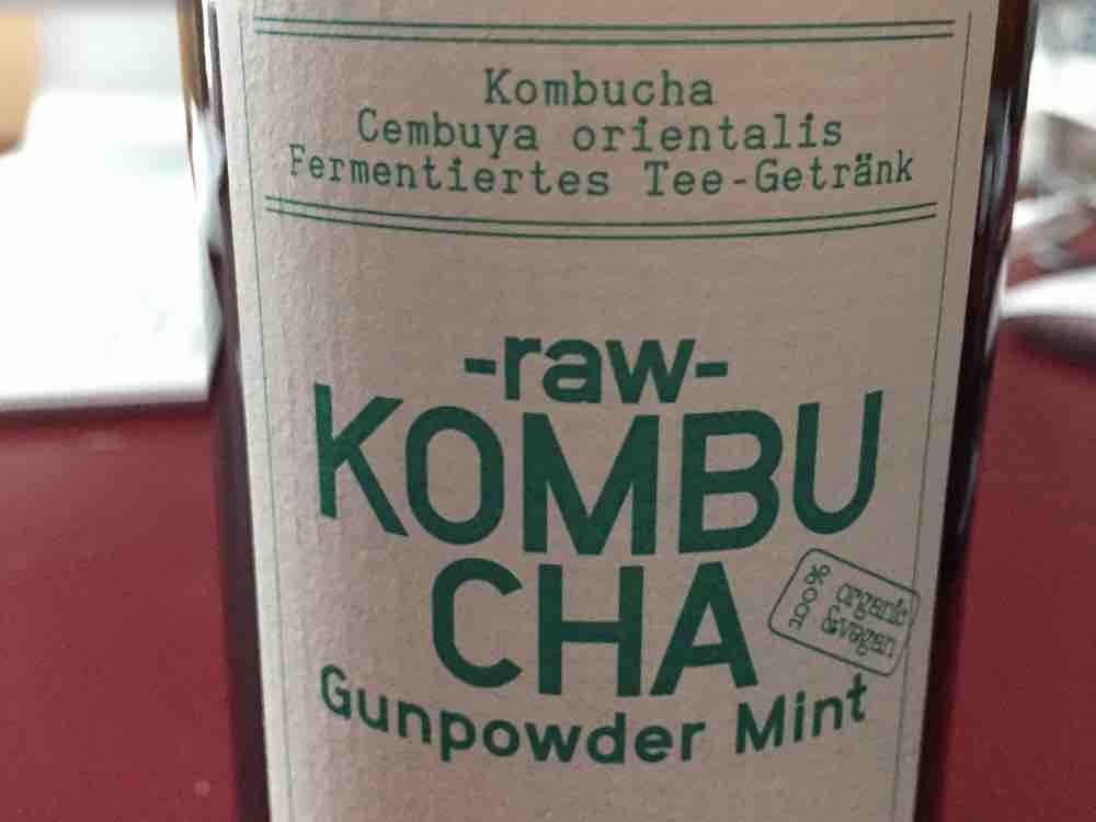-raw-  Kombucha Gunpowder Mint, 100%Living Culture von Stephy84 | Hochgeladen von: Stephy84