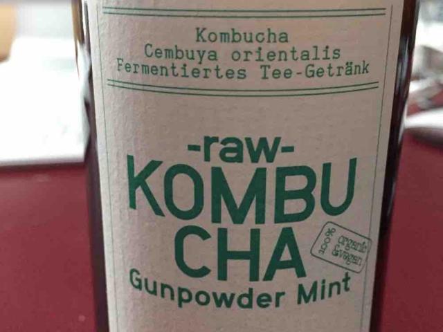 -raw-  Kombucha Gunpowder Mint, 100%Living Culture von Stephy84 | Hochgeladen von: Stephy84