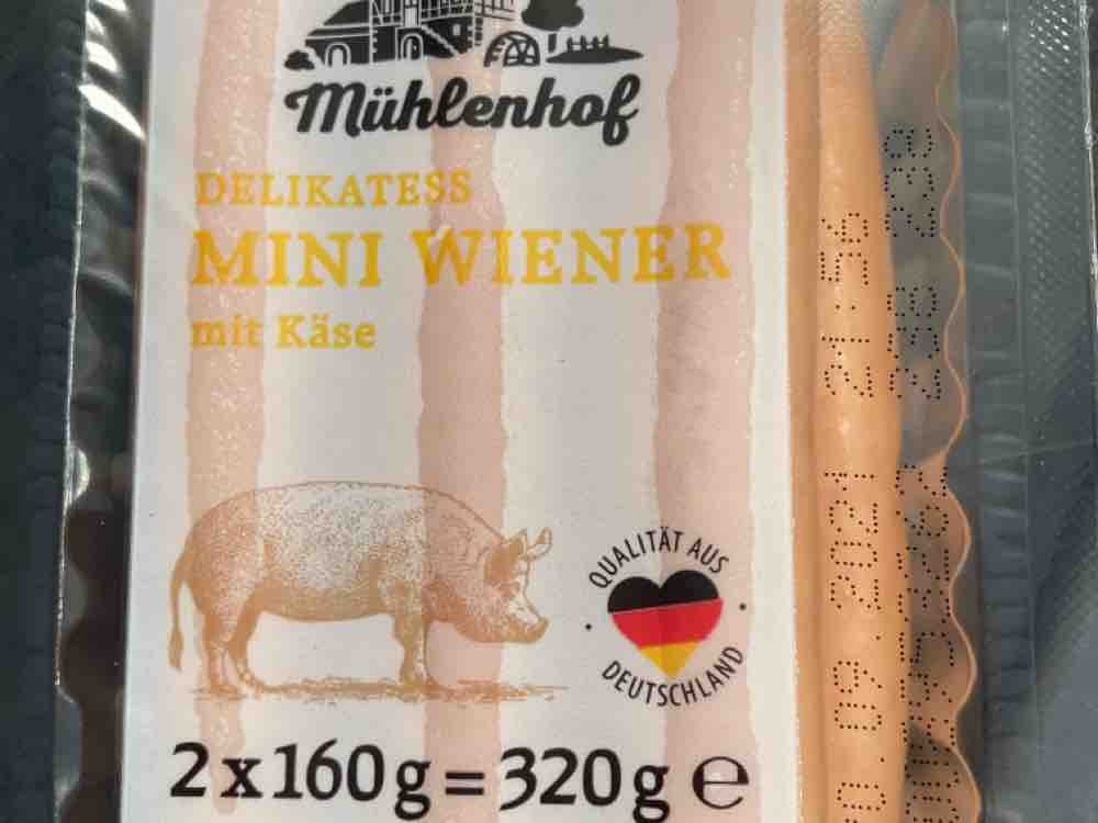 Mini Wiener mit Käse von LisaPfl | Hochgeladen von: LisaPfl