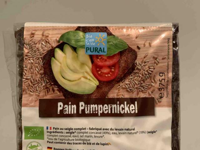 Pumpernickel by raminos | Uploaded by: raminos