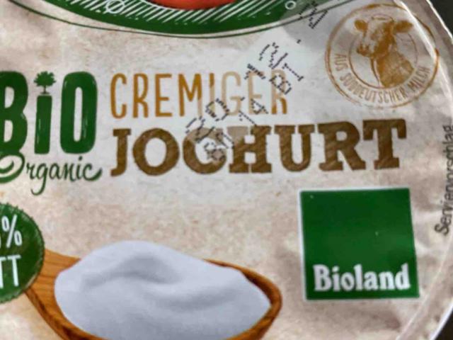 Bio Cremiger Joghurt, 3,8% Fett von MarcKobus | Hochgeladen von: MarcKobus