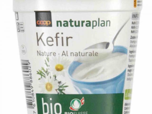 Kefir, Bio von ThL16 | Hochgeladen von: ThL16