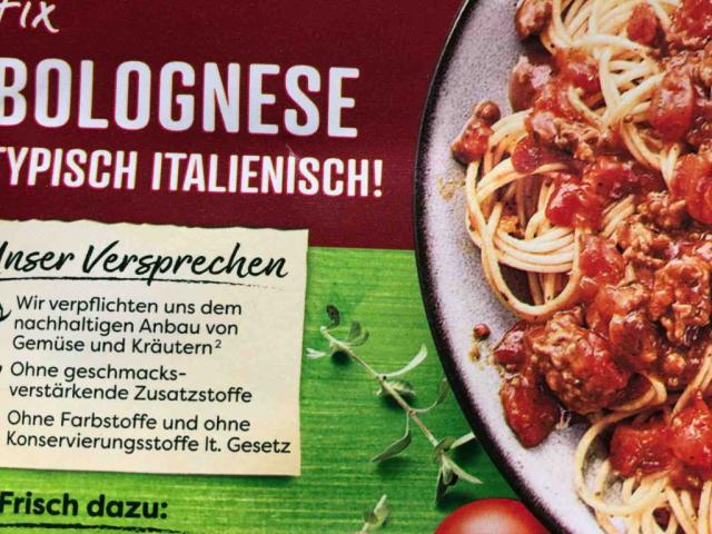 Fix Bolognese ( typisch Italienisch) von BettinaBo | Hochgeladen von: BettinaBo