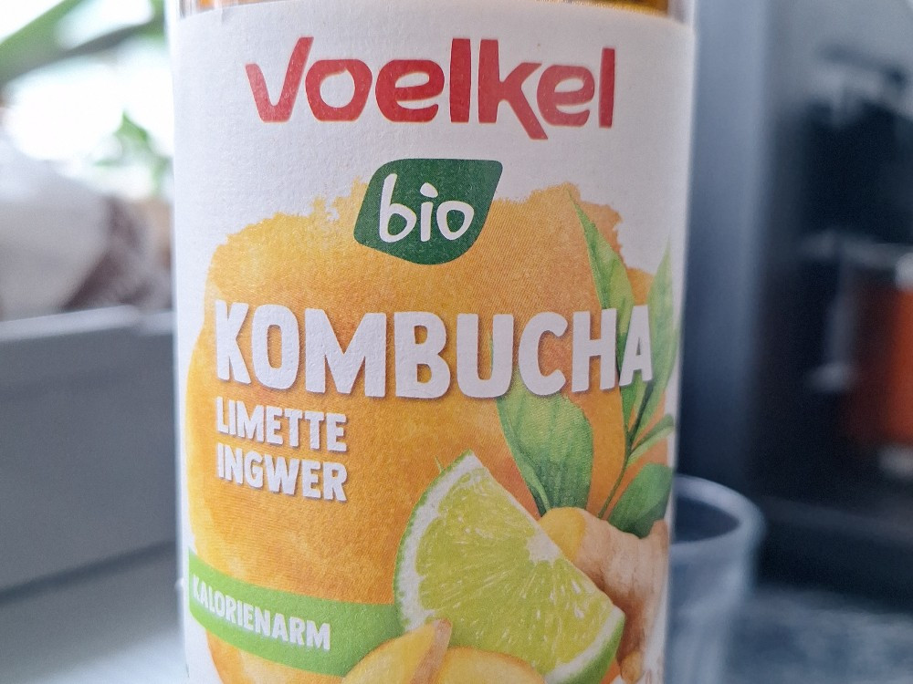 Komboucha Limette Ingwer, fermentiertes Teegetränk mit Kohlensäu | Hochgeladen von: EnKay