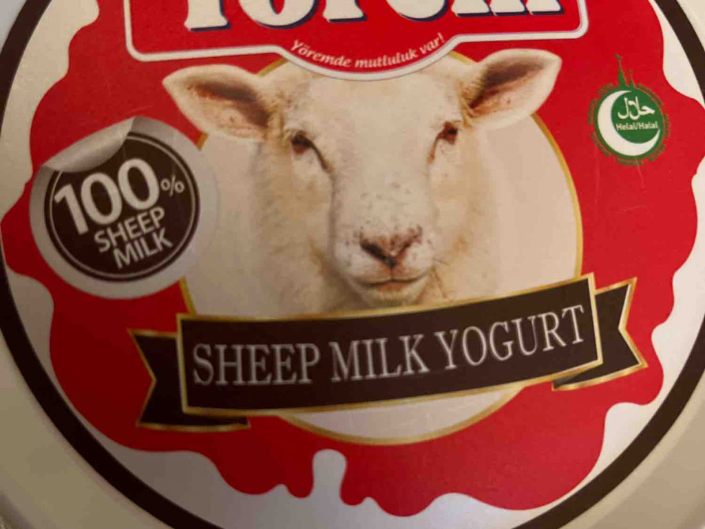 schafsmilchjoghurt von lamski | Hochgeladen von: lamski