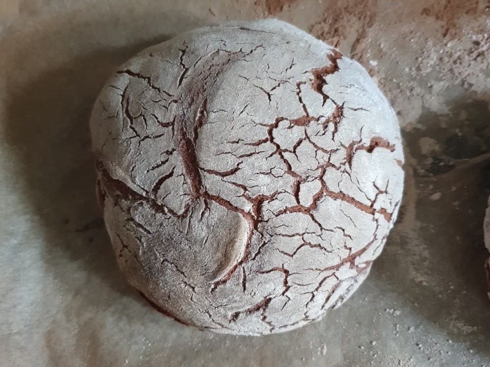 Hochgeladen von: PKUlm Hochgeladen von: PKUlm